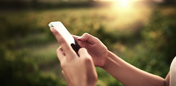 Mains tenant un téléphone portable avec de la végétation en arrière-plan